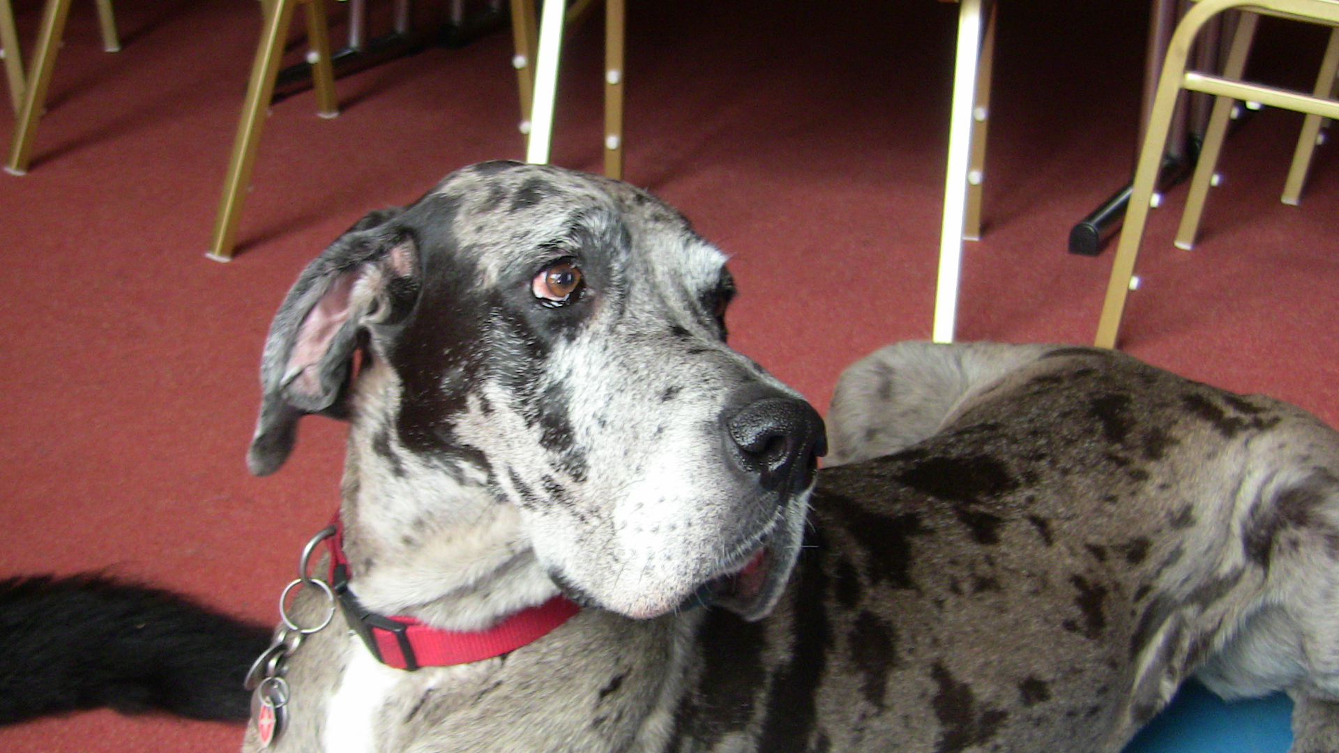 9 Militza.JPG (1920 x 1080)